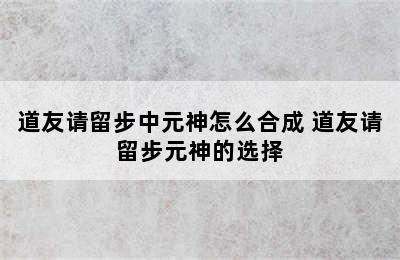 道友请留步中元神怎么合成 道友请留步元神的选择